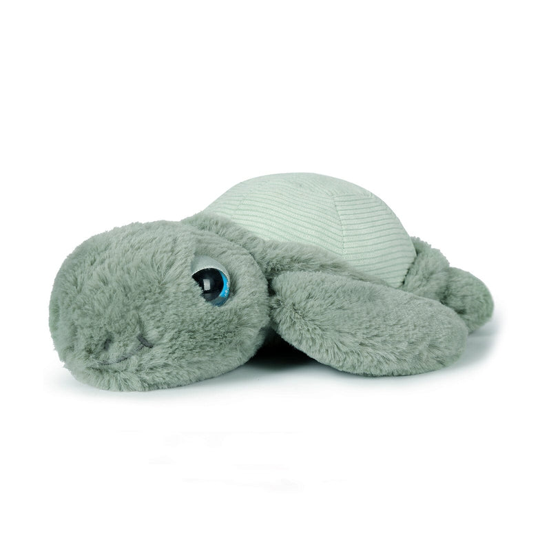 Little Tyler Turtle Soft Toy Big Hugs Plush O.B. Designs 