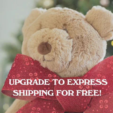 December Promo: Upgrade to Express Post for Free!