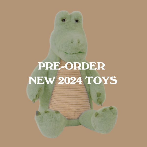 Pre-Order New 2024 Toys