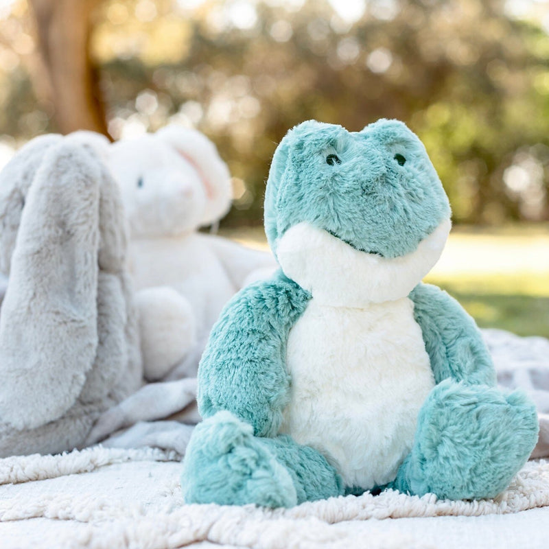 Freddy Frog Soft Toy Stuffed Animal Toy OB "Designs to Delight!" 