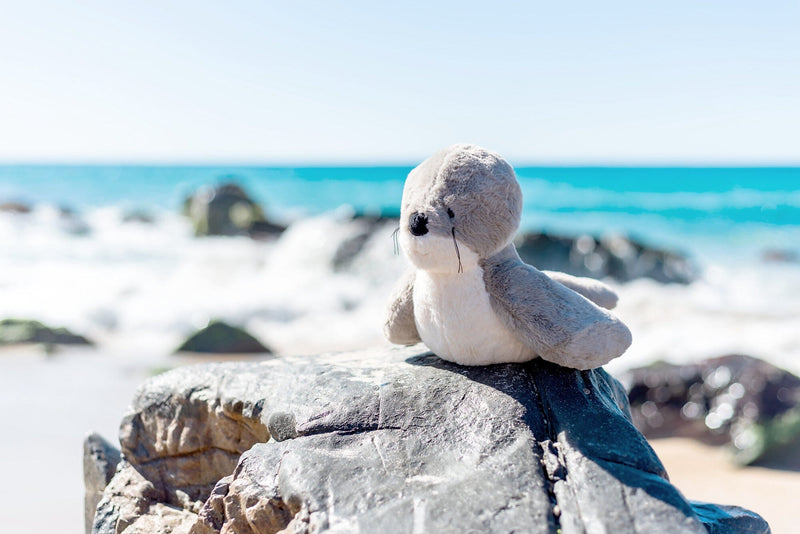 Soli Seal Soft Toy Sea Toy Range OB "Designs to Delight!" 