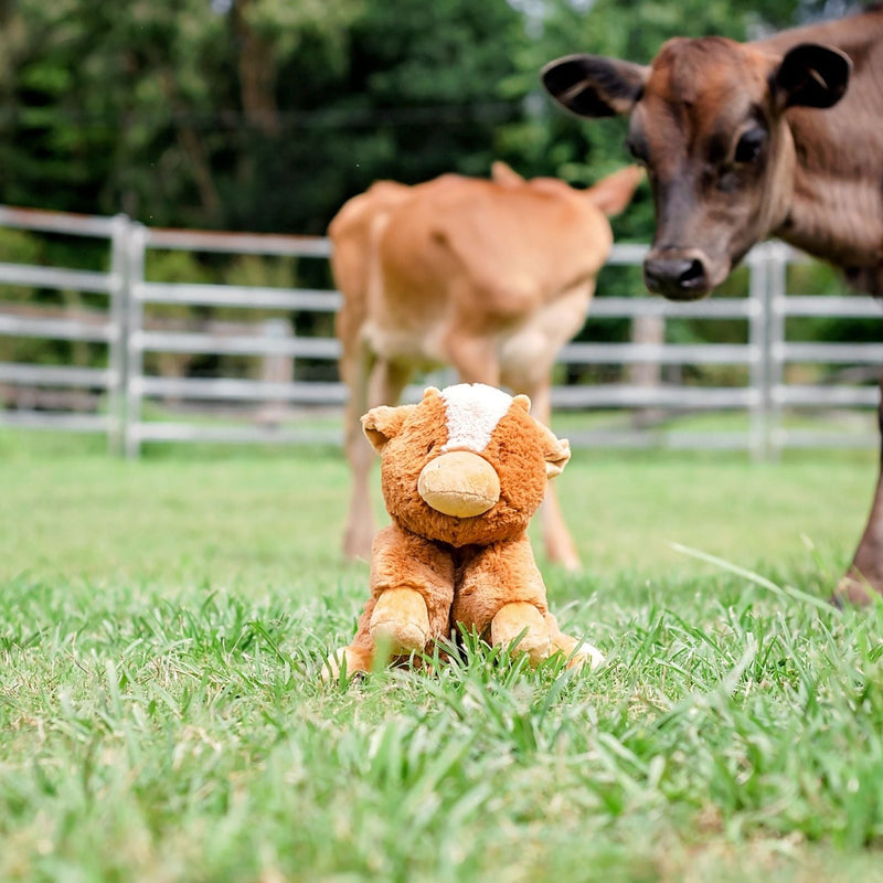 Cow Soft Toy Australia | Billy Cow Soft Toy Big Hugs Plush O.B. Designs 